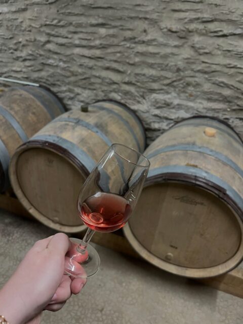 À la rencontre des vignerons Bretons 🍇 
Un grand merci à Julien et Laurent pour votre accueil ! 
De très belles découvertes 🍷 

Retour en images du domaine @terredardoise à Merleac & @vignobledesterreneuvas à Erquy 

Et toi tu as déjà goûté du vin Breton ??