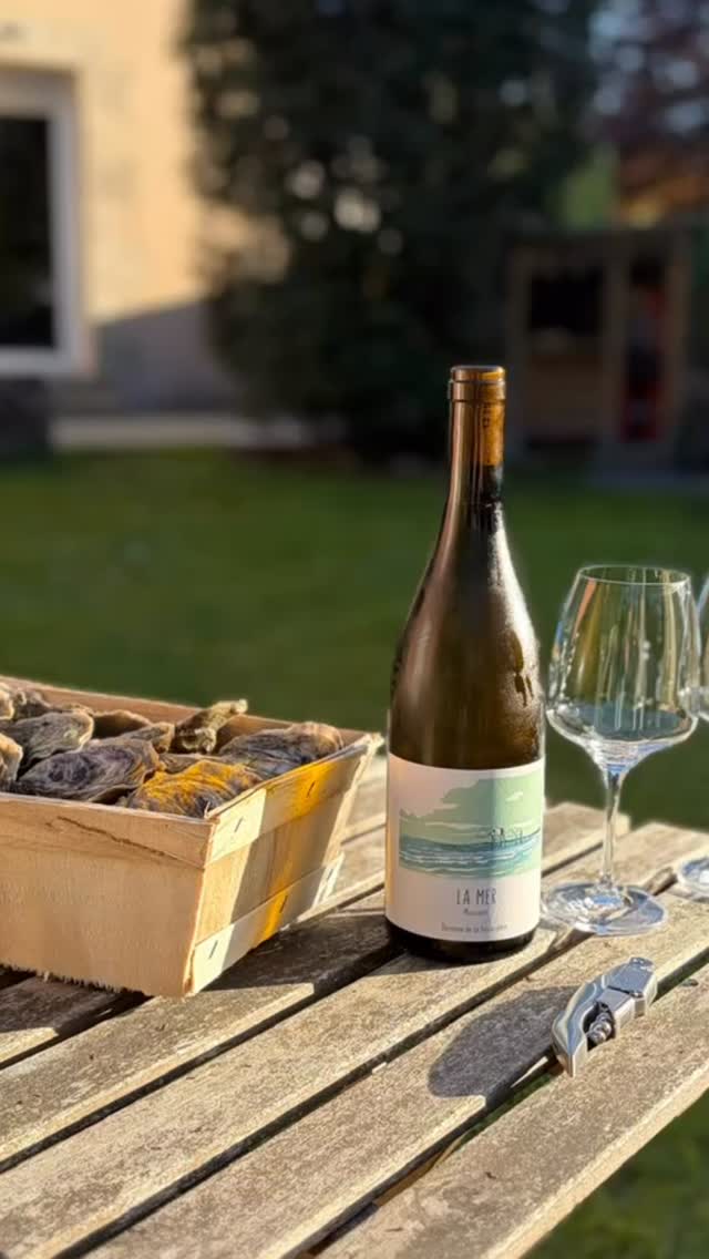 Elle est de retour ! 
La cuvée La Mer 🌊 du domaine de la Fessardière, un très joli Muscadet pour accompagner tes huîtres et autres fruits de mer ! 🦪 🦞 

Merci @luciedebeaurain.architecte pour cette belle photo 📸 

L’abus d’alcool est dangereux pour la santé. À consommer avec modération. 

#pupitre #cavisteindépendant #saintquayportrieux #binic